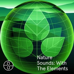 Nature Sounds: With The Elements - Endel