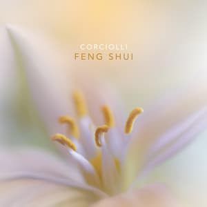 Feng Shui - Corciolli