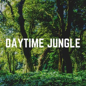 Daytime Jungle - Nature's Noise