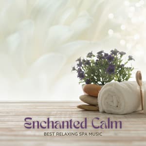 Enchanted Calm: Relaxing Massage Instrumentals - Best Relaxing SPA Music