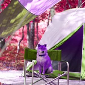 Feelings for Sleeping Hound Time - Chill My Pooch