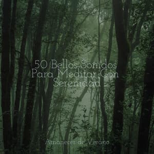 50 Bellos Sonidos Para Meditar Con Serenidad - Musica Reiki