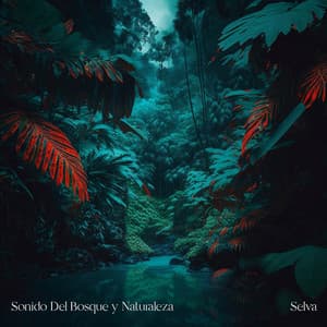 Selva - Sonido Del Bosque y Naturaleza