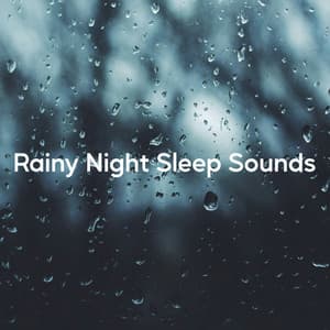 Rainy Night Sleep Sounds - Water Soundscapes