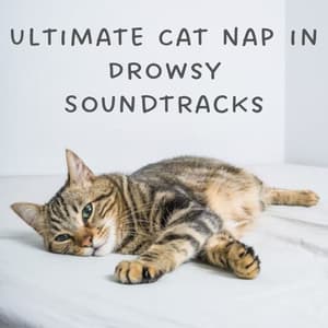 Ultimate Cat Nap in Drowsy Soundtracks - Cat Music Jukebox