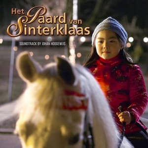Het Paard van Sinterklaas - Johan Hoogewijs