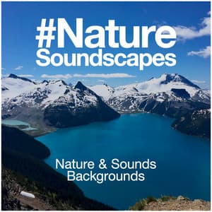#Nature Soundscapes - Nature Sounds & Backgrounds