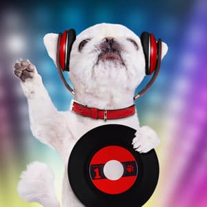 Animal Zen: Ambient Music for Pets - Alpha For Pets