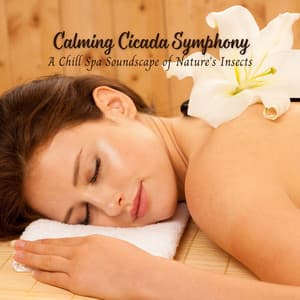 Calming Cicada Symphony: A Chill Spa Soundscape of Nature's Insects - Mother Nature