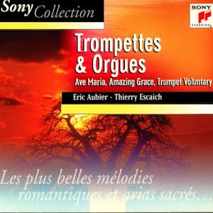 Trompettes et orgues, trumpet and organ - Eric Aubier