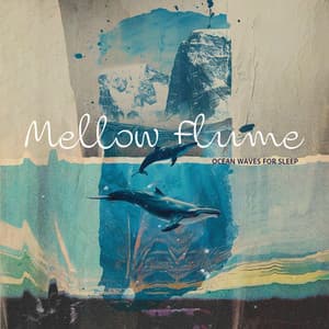 Mellow Flume - Ocean Waves For Sleep