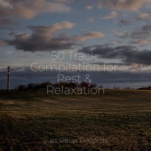 50 Track Compilation for Rest & Relaxation - Kinderliederbande