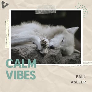 Fall Asleep - Calm Vibes
