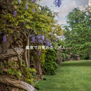 温室で目覚めるリズム - Instrumental Jazz Musica Ambiental