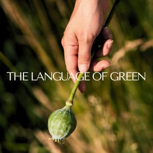 The Language of Green: Harvest of Quiet Moments - Meditative Moments!
