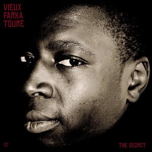 The Secret - Vieux Farka Touré