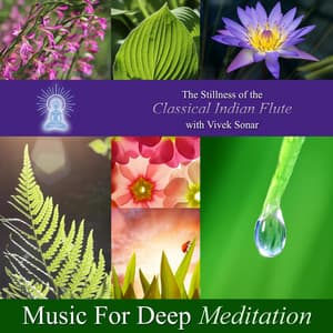 The Stillness of the Classical Indian Flute With Vivek Sonar - Music for Deep Meditation