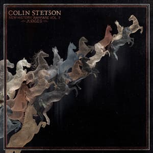New History Warfare Vol. 2: Judges - Colin Stetson