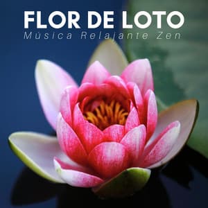 Flor de Loto: Música Relajante Zen de Meditación para la Paz y la Armonía, Antistres - Mente Abierta