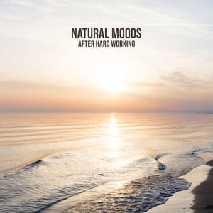 Natural Moods After Hard Working: Meditation with Nature, Sounds Reducing Stress & Anxiety, Healing Frequencies - Zen Natural Sounds