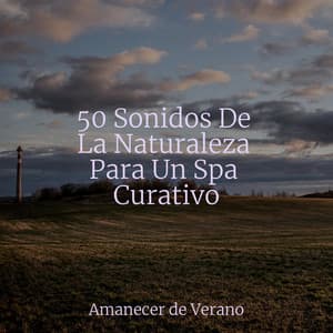 50 Sonidos De La Naturaleza Para Un Spa Curativo - Musica Relajante & Yoga