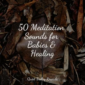 50 Meditation Sounds for Babies & Healing - Nature's Symphony