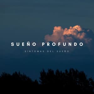 Sueño Profundo: Síntomas Del Sueño - Dormir Bien