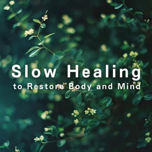Slow Healing to Restore Body and Mind - Relaxing BGM Project