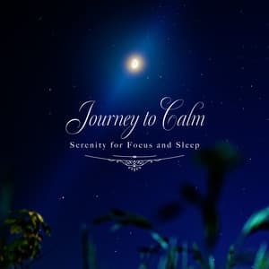 Journey to Calm - Serenity for Focus and Sleep - Healing Energy