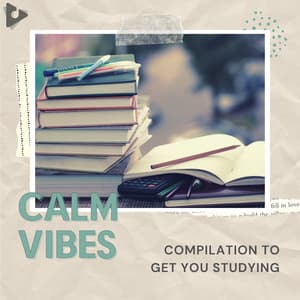 Compilation to Get You Studying - Calm Vibes