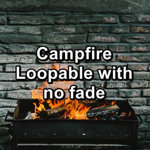 Campfire Loopable with no fade - Fireplace Music