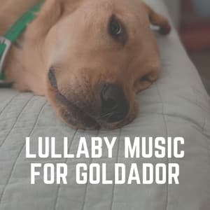 Lullaby Music for Goldador - Sleeping Music For Dogs