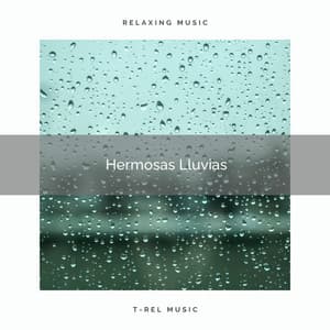2021 Hermosas Lluvias - Lluvia para Dormir