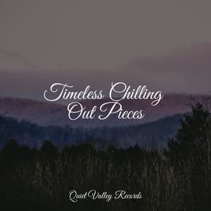 Timeless Chilling Out Pieces - Kinderlieder-Superstar