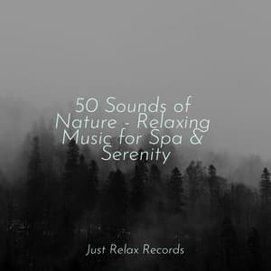 50 Sounds of Nature - Relaxing Music for Spa & Serenity - Música ambiental relajante