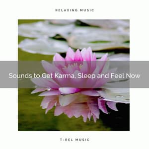 2020 Best: Sounds to Get Karma, Sleep and Feel Now - Sleeping Noises and Calming Relax Therapy Noise