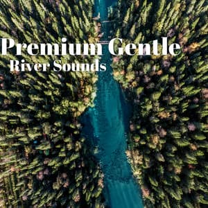Premium Gentle River Sounds - River Sleep Aid