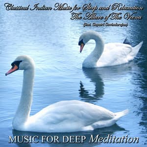 Classical Indian Music for Sleep and Relaxation - The Allure of the Veena - Music for Deep Meditation