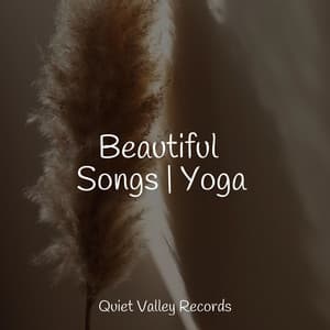 Beautiful Songs | Yoga - Rain Sounds