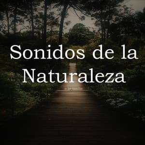 Sonidos de la Naturaleza a la Noche - Sonidos Relajantes de la Naturaleza by Beneluxa