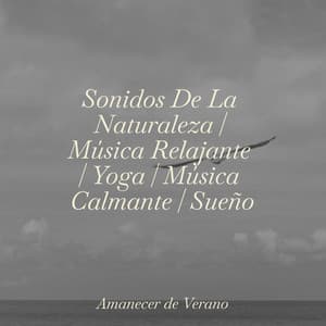 Sonidos De La Naturaleza | Música Relajante | Yoga | Música Calmante | Sueño - Dulces Sueños