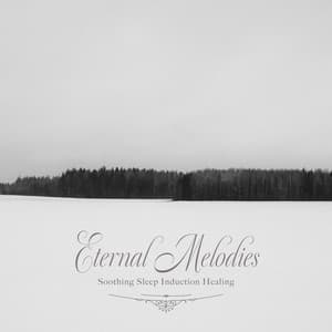 悠久の調べ〜やすらぎの睡眠導入ヒーリング〜 - Healing Energy