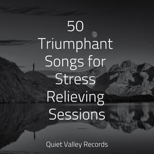 50 Triumphant Songs for Stress Relieving Sessions - Organic Nature Sounds