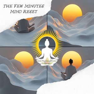 The Few Minutes Mind Reset - Micromeditate