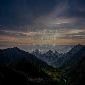 50 Ambient Compilation Sounds for Meditation - Pro Sound Effects Library