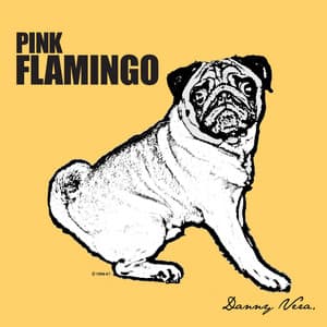 Pink Flamingo - Danny Vera