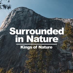 Surrounded in Nature - Kings of Nature