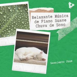 Relaxante Música de Piano Suave Chuva de Sono - Sonolento Jose
