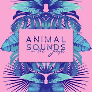 Animal Sounds in the Jungle: Wildlife Music to Restore Your Balance and Inner Energy. Nature Therapy Zone - Harmony Nature Sounds Academy