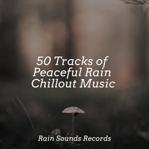50 Tracks of Peaceful Rain Chillout Music - Nature Sounds